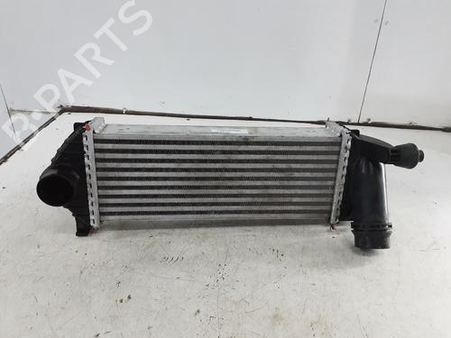 Intercooler RENAULT KANGOO / GRAND KANGOO II (KW0/1_) 1.2 TCe 115 (KW02, KW14) | BP32243261M30