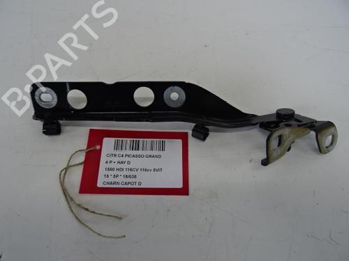 Used Hinge/Door check strap CITROËN C4 Grand Picasso II (DA_, DE_) 1.6 HDi / BlueHDi 115 (115 hp) 20274270