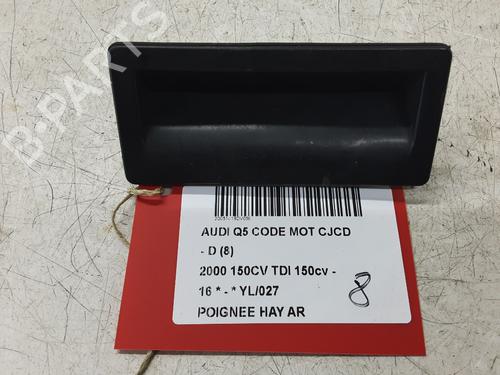 Used Tailgate handle AUDI Q5 (8RB) 2.0 TDI (150 hp) 25884524