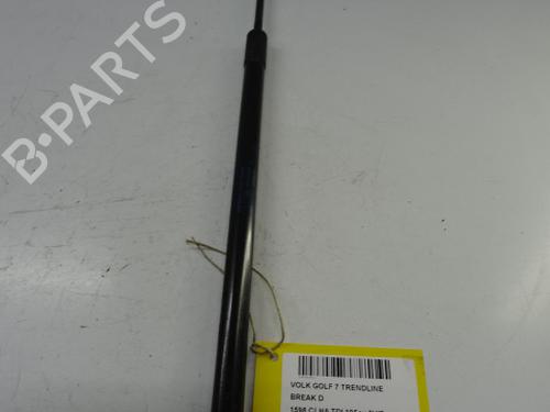 Hood lift support VW GOLF VII Variant (BA5, BV5) 1.6 TDI BP20274292C139