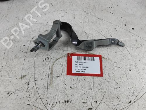 Hinge/Door check strap AUDI A3 (8P1) 1.6 TDI | BP32249406C146