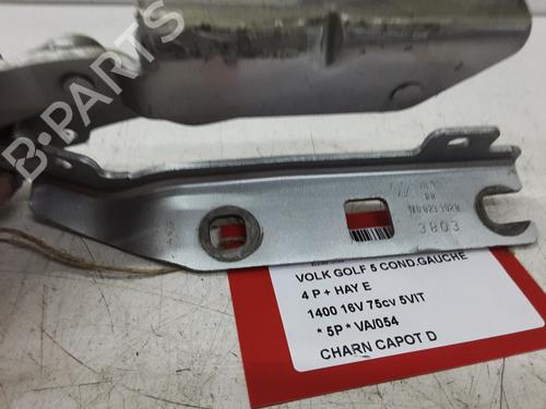 Hinge/Door check strap VW GOLF IV (1J1) 1.4 16V | BP20284529C146 