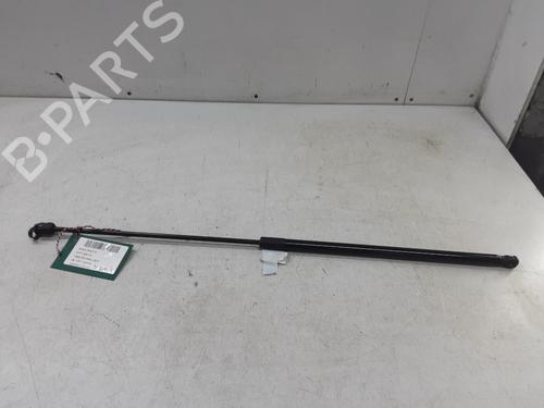Used Hood lift support VW GOLF V (1K1) 1.9 TDI (105 hp) 20284599