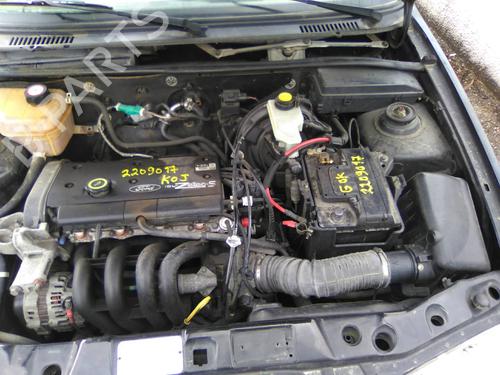  - Image 7