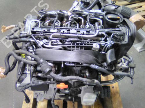 Used Engine Engine VW GOLF VI (5K1) 1.6 TDI (90 hp) 19844397 19844397