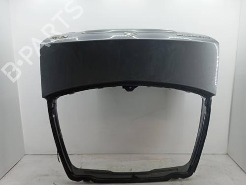Used Tailgate Tailgate 19845364 19845364