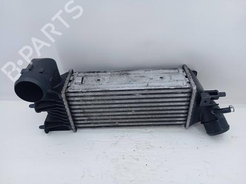 Used Intercooler Intercooler PEUGEOT 406 (8B) 2.0 HDI 110 (109 hp) 28197881 28197881