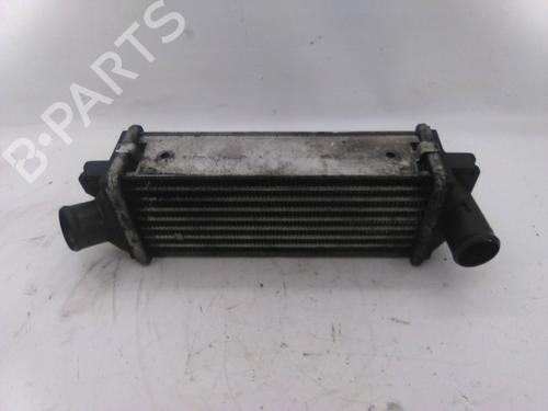 Intercooler Intercooler 19859549 19859549