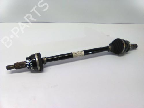 BP19863133M40 main image