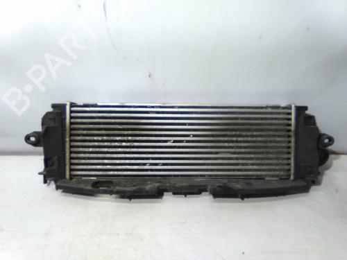 Used Intercooler Intercooler RENAULT TRAFIC II Bus (JL) 2.0 dCi 115 (JL00, JL01, JL0H, JL0M, JL0U) (114 hp) 19869524 19869524