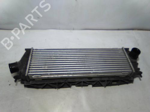 Intercooler RENAULT TRAFIC II Bus (JL) 2.0 dCi 115 (JL00, JL01, JL0H, JL0M, JL0U) | BP19869524M30 - Image 2