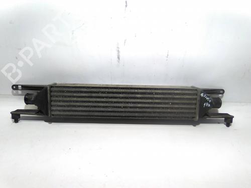 Intercooler Intercooler 19874013 19874013