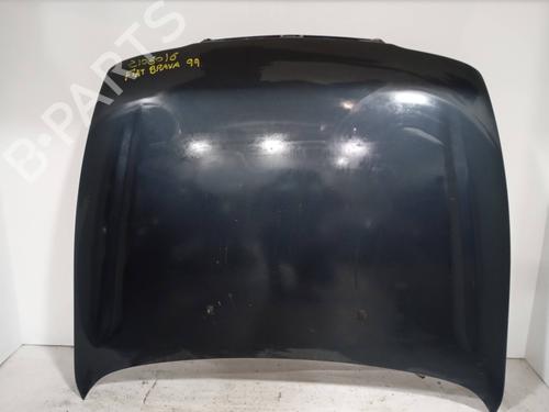 Panser Panser FIAT BRAVA (182_) 1.2 16V 80 (82 hp) 19876053 19876053