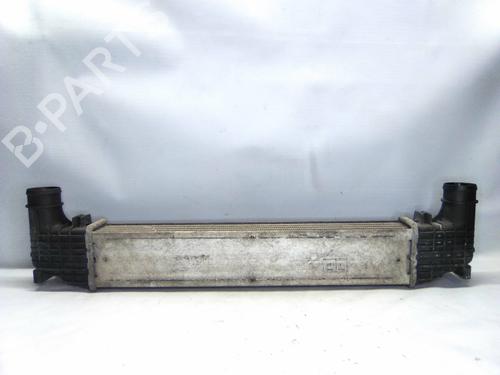 Used Intercooler Intercooler FORD GALAXY I (WGR) 1.9 TDI (90 hp) 19876113 19876113