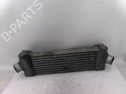 Intercooler Intercooler VW CADDY III MPV (2KB, 2KJ, 2CB, 2CJ) [2004-2016] 36224490 36224490