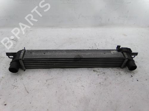 Intercooler Intercooler FIAT FIORINO MPV (225_) 1.3 JTD Multijet (225BXB1A, 225BXB11) (75 hp) 36224823 36224823