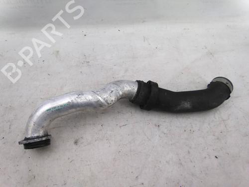 BP19829036M127 main image