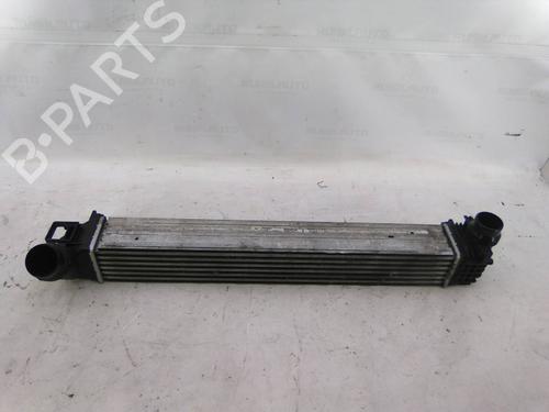Used Intercooler Intercooler RENAULT MEGANE III Hatchback (BZ0/1_, B3_) 1.5 dCi (BZ0C) (90 hp) 19832356 19832356