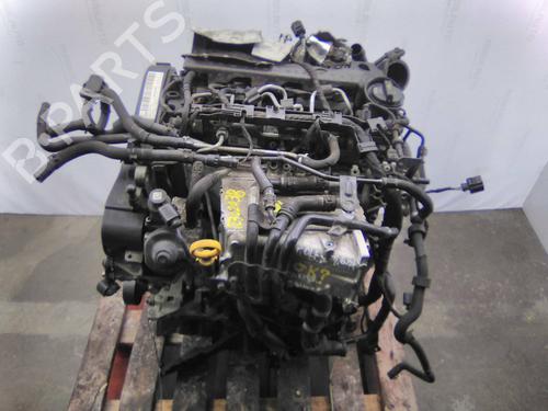 Used Engine Engine VW GOLF VII Variant (BA5, BV5) 1.6 TDI (105 hp) 19833482 19833482