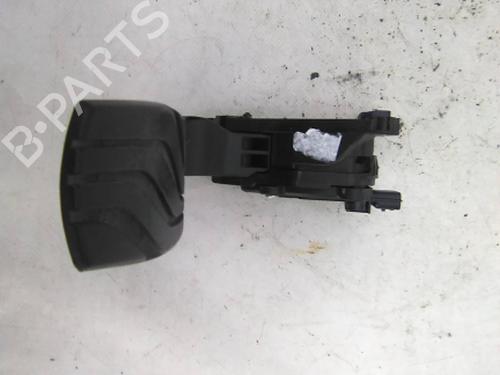 Used Pedal Pedal RENAULT GRAND SCÉNIC IV (R9_) 1.5 dCi 110 (R9A3) (110 hp) 19835210 19835210