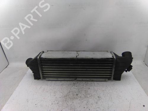 Intercooler Intercooler PEUGEOT 207 (WA_, WC_) [2006-2015] 36225096 36225096