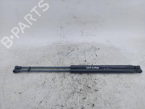 tailgate-lift-support-peugeot-206-hatchback-2ac-1998-1999-2000-2001-2002-2003-2004-2005-2006-2007-2008-2009-2010-2011-2012-26025406 main image