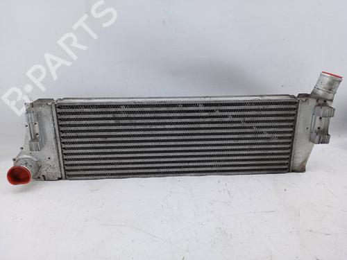 Used Intercooler Intercooler RENAULT MEGANE II Estate (KM0/1_) 1.5 dCi (KM1F) (86 hp) 19839754 19839754