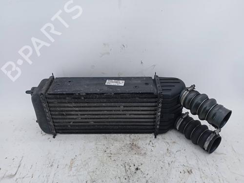 Used Intercooler Intercooler PEUGEOT 207 (WA_, WC_) 1.6 HDi (109 hp) 19840387 19840387