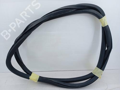Gummiliste Gummiliste VW TIGUAN VAN (5N_) 2.0 TDI 4motion (5N1, 5N2) (140 hp) 36225376 36225376