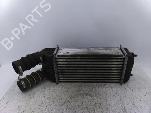 Used Intercooler Intercooler PEUGEOT 207 (WA_, WC_) 1.6 HDi (90 hp) 19840529 19840529