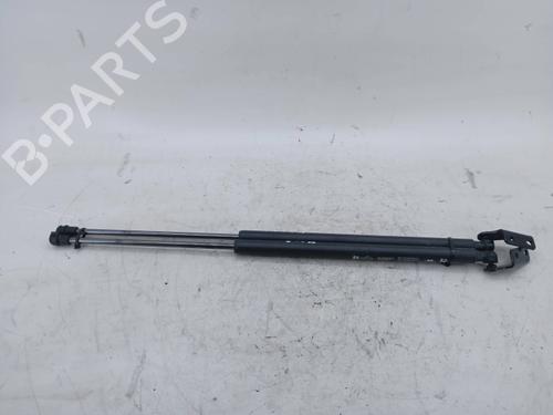 Used Tailgate lift support Tailgate lift support AUDI A3 (8L1) [1996-2006] 36225638 36225638