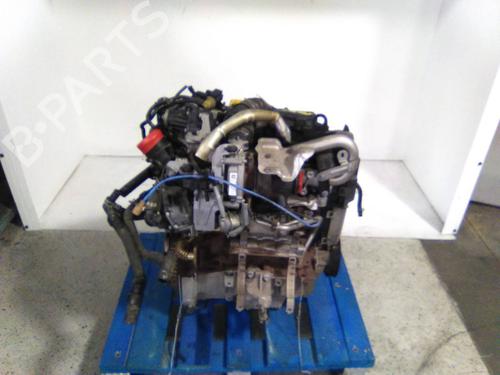 Motor Motor RENAULT CLIO IV (BH_) 1.5 dCi (BHM6) (84 hp) 19841900 19841900