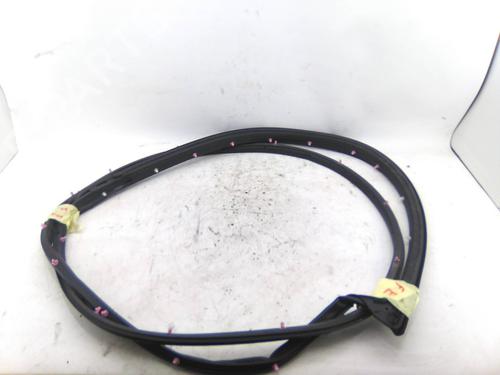 Gummiliste Gummiliste NISSAN JUKE (F15) 1.5 dCi (110 hp) 19842460 19842460