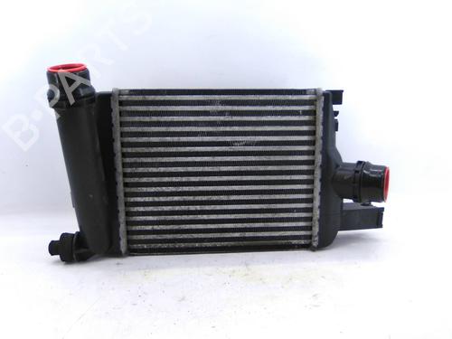 Intercooler Intercooler RENAULT CLIO IV (BH_) 1.5 dCi 75 (75 hp) 20493590 20493590
