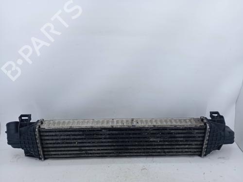 Intercooler FORD C-MAX (DM2) 1.6 TDCi | BP19844925M30 - Image 2