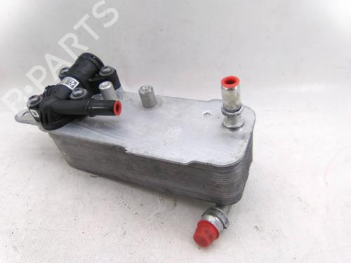 Used Oil radiator Oil radiator BMW 5 (G30, F90) M 550 d xDrive (400 hp) 24645268 24645268