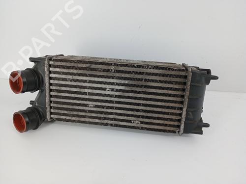 Used Intercooler Intercooler PEUGEOT PARTNER Box Body/MPV 1.6 HDi (75 hp) 31117436 31117436