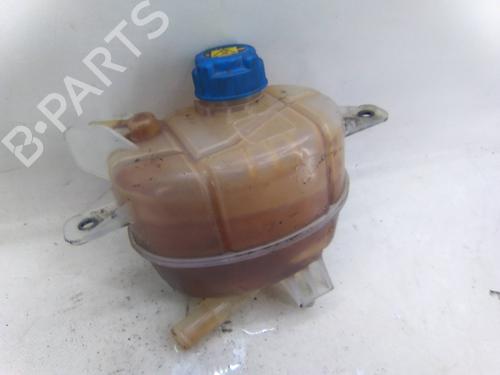 Ekspansjonstank Ekspansjonstank FIAT FIORINO MPV (225_) 1.3 JTD Multijet (95 hp) 36226792 36226792
