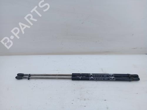Used Tailgate lift support Tailgate lift support 29429531 29429531