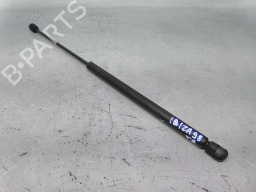 Used Tailgate lift support Tailgate lift support 19856517 19856517