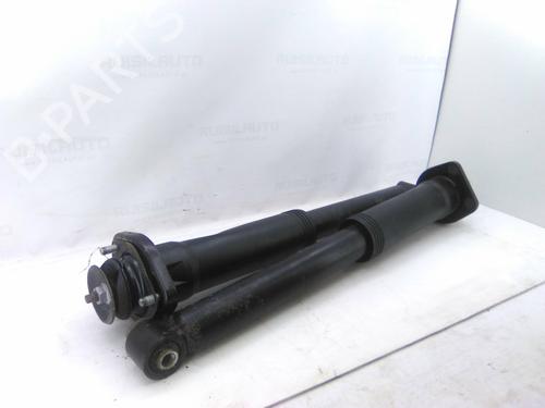 Used Right rear shock absorber Right rear shock absorber 19810948 19810948