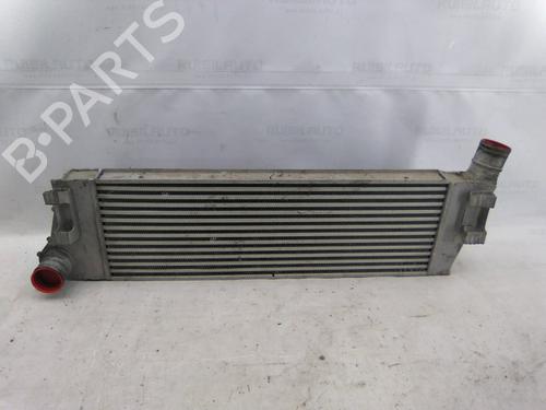 Used Intercooler Intercooler RENAULT SCÉNIC II (JM0/1_) 1.5 dCi (JM1E, JM16) (106 hp) 19823676 19823676