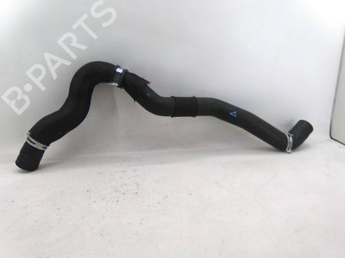 Used Pipe Pipe RENAULT LAGUNA III (BT0/1) 2.0 dCi (BT07, BT0J, BT14, BT1A, BT1S) (131 hp) 31255774 31255774