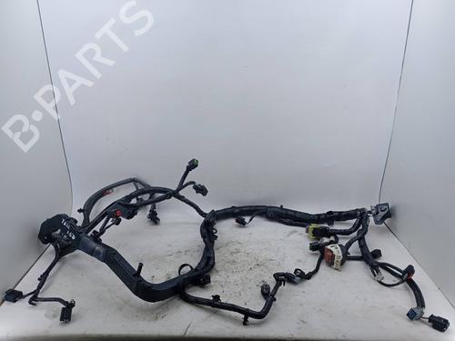 Used Wiring harness Wiring harness FORD FIESTA VI (CB1, CCN) 1.6 TDCi (90 hp) 24572511 24572511
