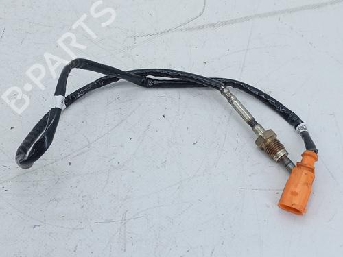 Elektronensonde für Elektronensonde VW GOLF VII (5G1, BQ1, BE1, BE2) 1.6 TDI (105 hp) 24831500 24831500