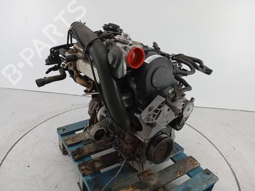 Engine VW GOLF V (1K1) 1.9 TDI | BP31934184M1  - Image 5