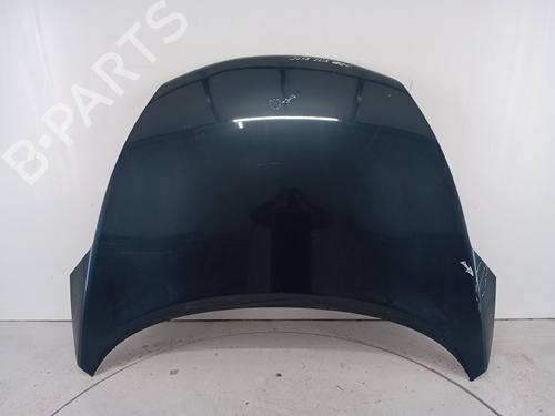 Capot Capot NISSAN JUKE (F15) 1.6 (94 hp) 32731864 32731864