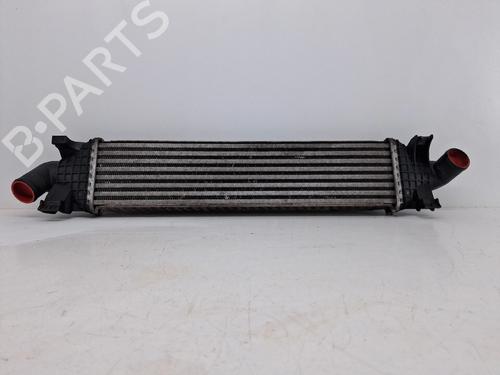Intercooler Intercooler FORD FOCUS II (DA_, HCP, DP) 1.6 TDCi (100 hp) 36227508 36227508