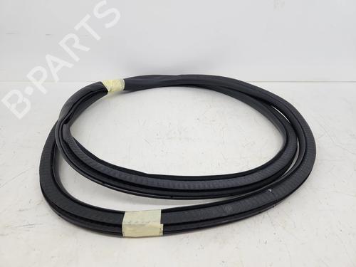borracha-vedante-da-porta-ford-kuga-iii-dfk-2019-37476451 main image