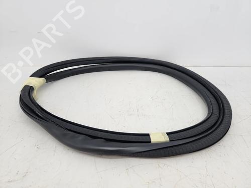 borracha-vedante-da-porta-ford-kuga-iii-dfk-2019-37476450 main image